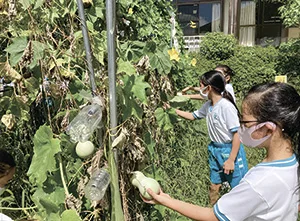 箕面自由学園小学校