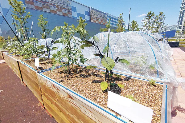 関西初進出となる「シェア畑ガーデン」。写真は南船橋