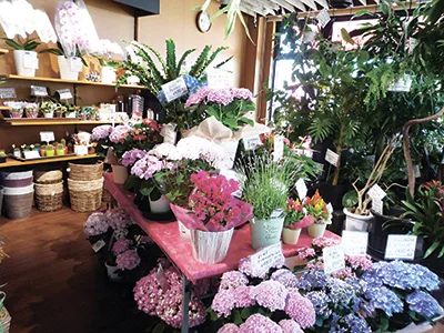 いろどり門真二島店