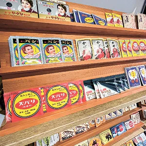 薬食さふらん堂2