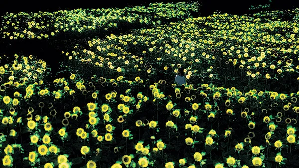 チームラボ《生命は闇に浮かぶまたたく光 - ヒマワリ》