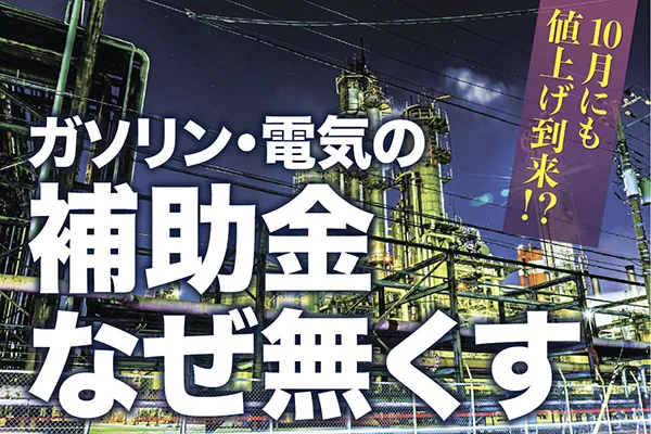ガソリン・電気の補助金 なぜ無くす