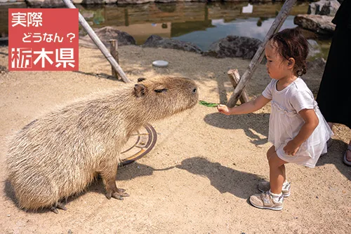 栃木県大阪センター
