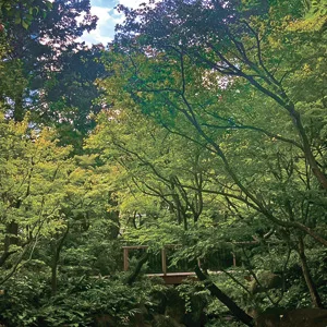 新梅田シティ森