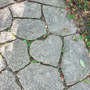 新梅田シティハート