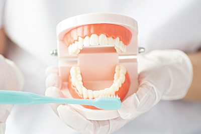 ブラッシング指導