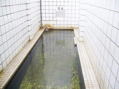 不動の湯 華厳（けごん）温泉