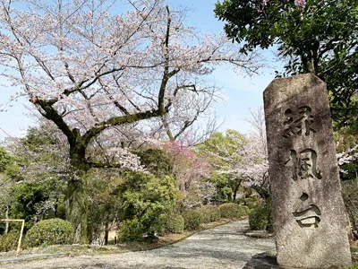 五月山公園（池田市)