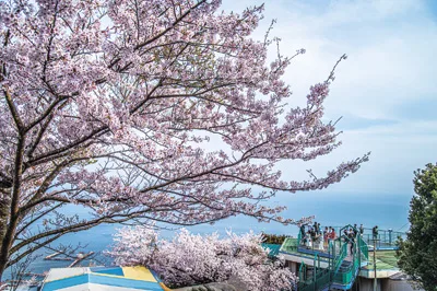 須磨浦山上遊園（神戸市須磨区)