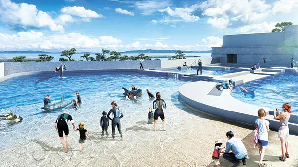 イルカとふれ合える「ドルフィンビーチ」のイメージ