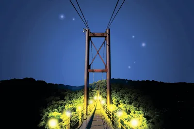 夜の森に浮かび上がる星のブランコ(イメージ)