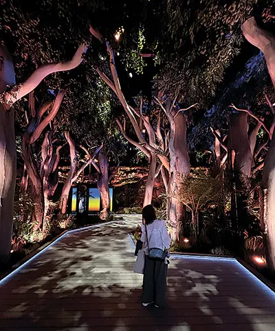 まるで熱帯雨林を歩いているよう