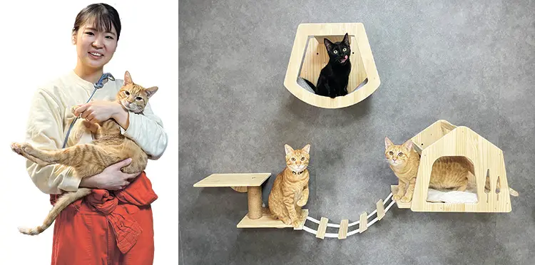 猫の惑星　にゃーくる