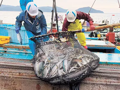 満載の魚を抱えた網を船上へと引き上げる漁師たち。多種多様な魚が水揚げされ、海の豊かさを実感させる光景が広がる。早朝の漁はチームワークと熟練の技が支えている
