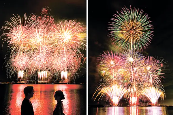 泉州夢花火 in 泉南（大阪府泉南市）